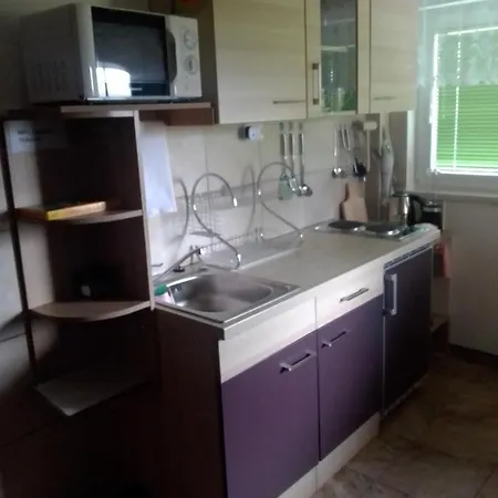 Studio Apartman Safaric Sveti Martin Na Muri Exterior photo