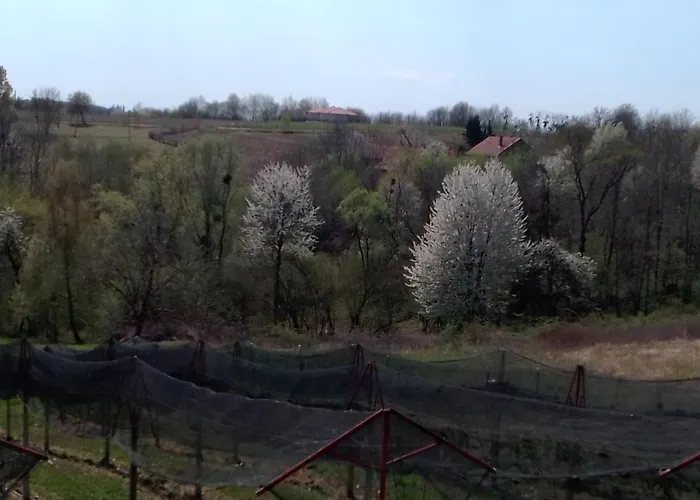 Studio Apartman Safaric