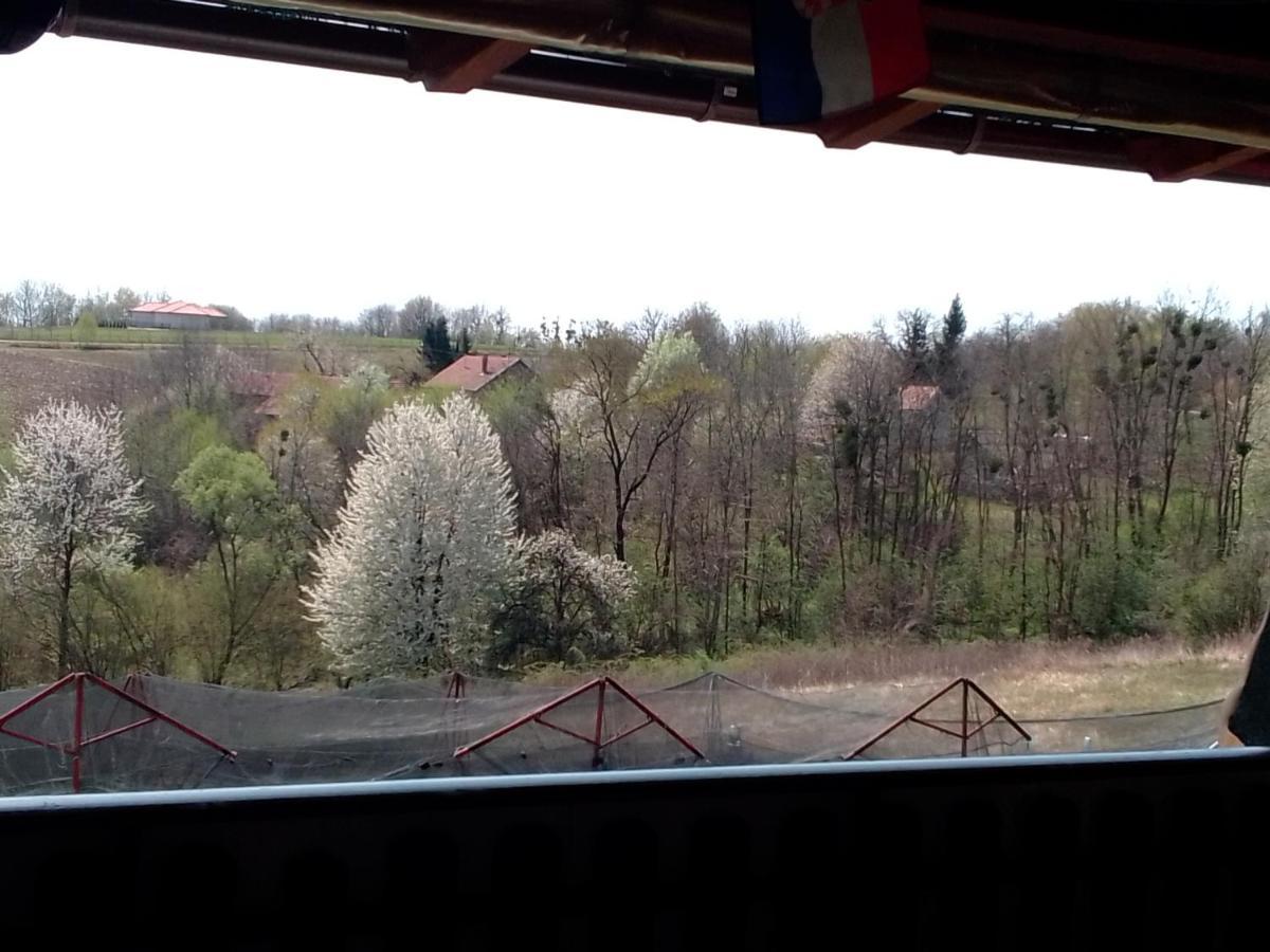 Safaric Apartment Sveti Martin Na Muri