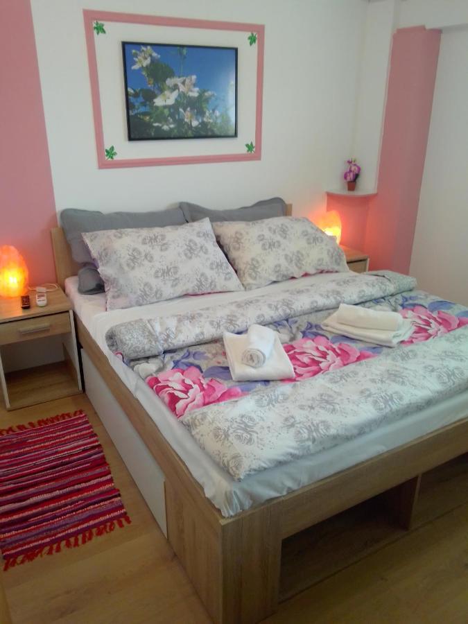 Apartment Safaric *