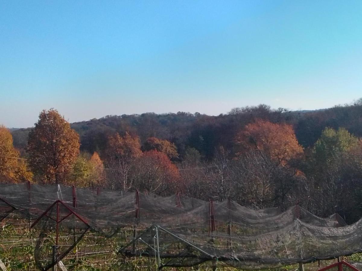 Safaric * Sveti Martin Na Muri